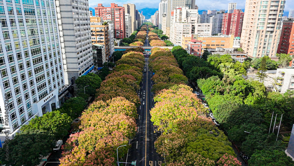 Naklejka premium Taiwanese rain tree