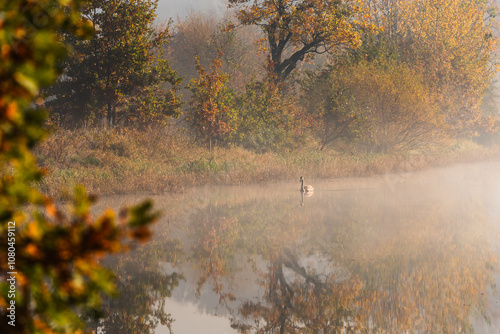 Jesienny mglisty krajobraz nad wodą, tapeta.  photo