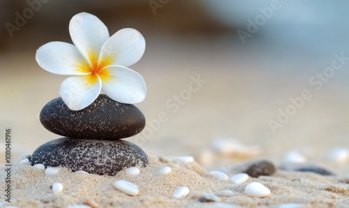 A white flower is on top of three black rocks on a sandy beach