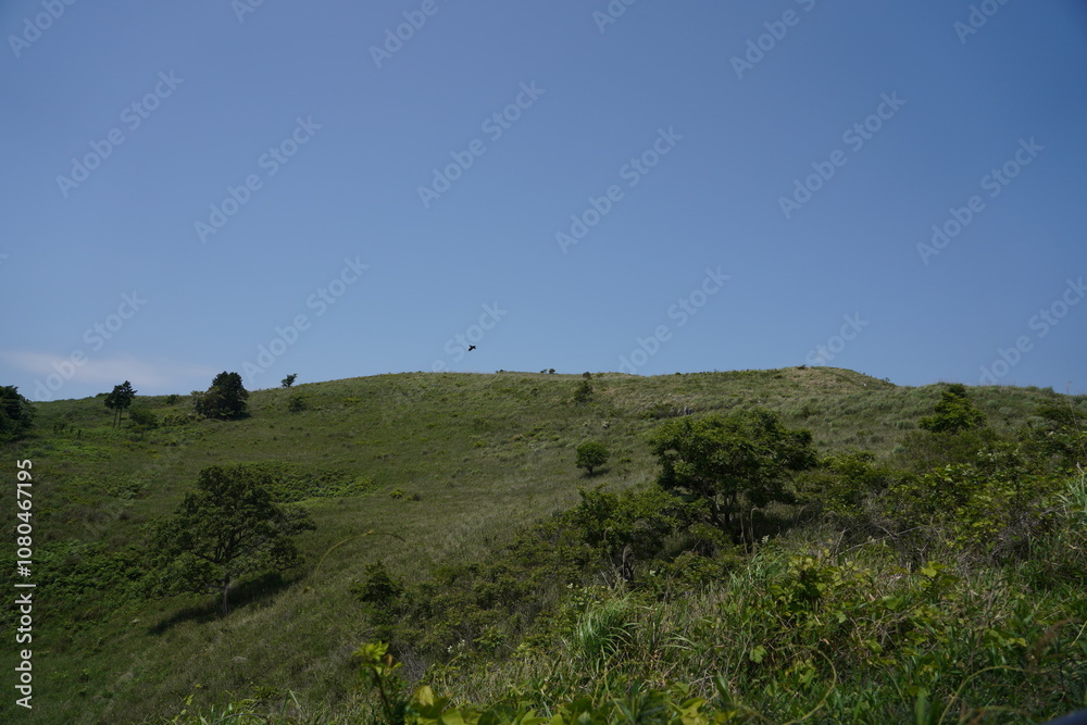 Obraz premium 山と青