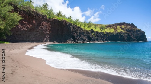 A secluded beach with black sand and clear turquoise water. The shore is lined with palm trees and a rocky cliff.