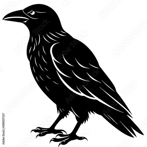 Crow vector silhouette art illustration photo