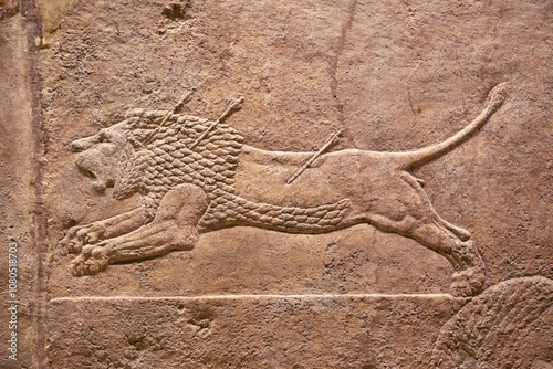 Assyrian relief, wounded lion, animal hit by arrows