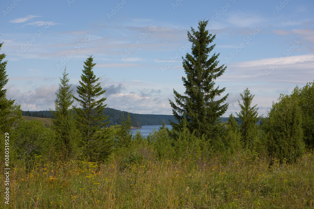 Russia Perm Krai taiga landscape on a summer cloudy day Russia Perm Krai taiga landscape on a summer cloudy day