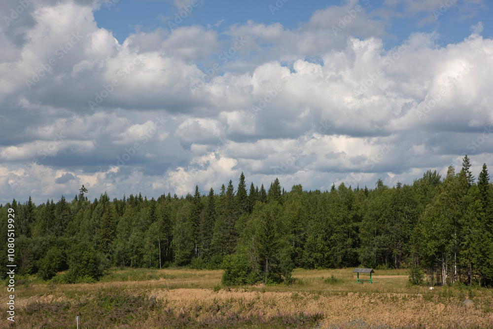 Russia Perm Krai taiga landscape on a summer cloudy day