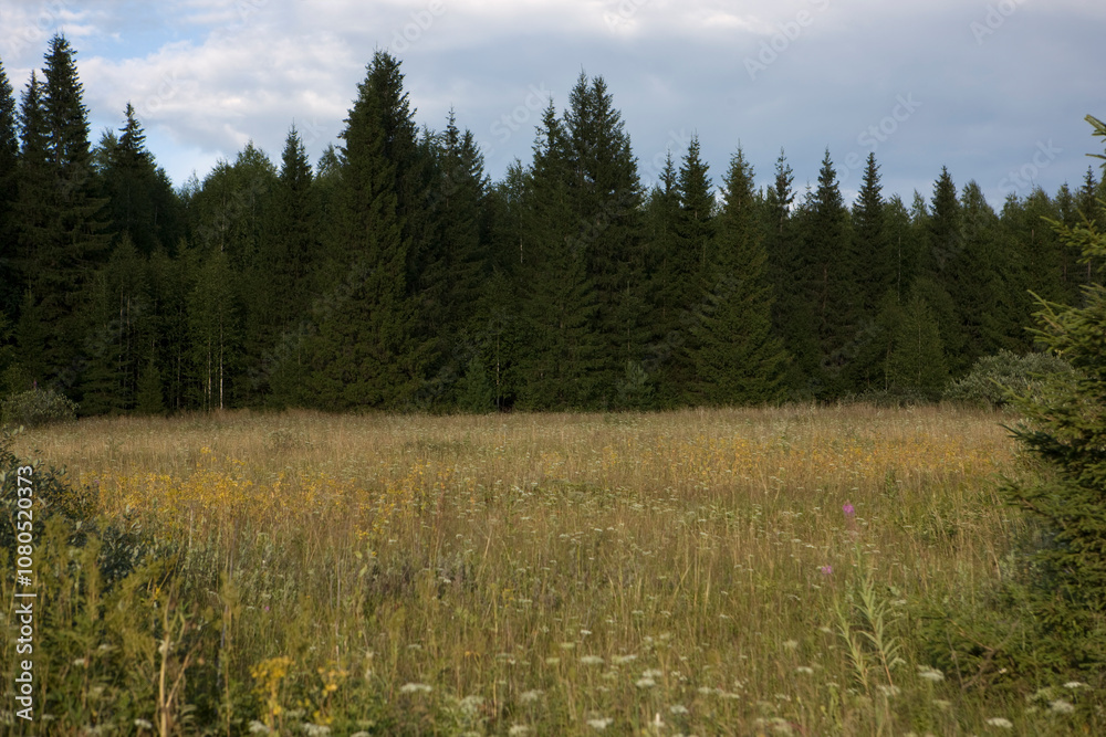 Russia Perm region landscape on a summer cloudy day Russia Perm region landscape on a summer cloudy day