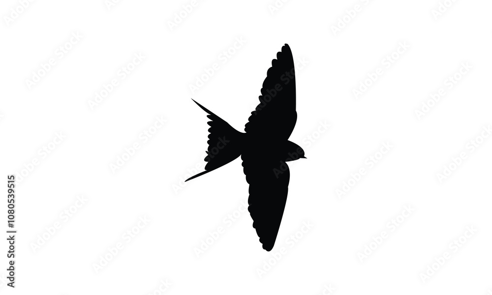 Fototapeta premium Barn Swallow Silhouette Design And Vector Illustration. 