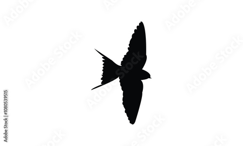 Barn Swallow Silhouette Design  And Vector Illustration. 