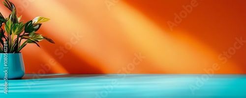 Plant in pot on colorful background