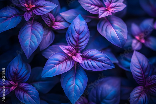 Illustration - Neon Blue and Purple Basil Leaves