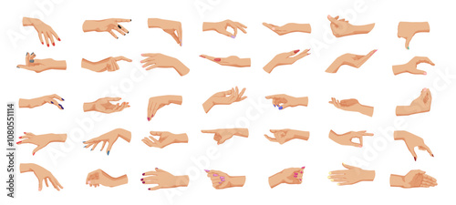 A collection of hands in diverse gestures and positions. Vector illustration