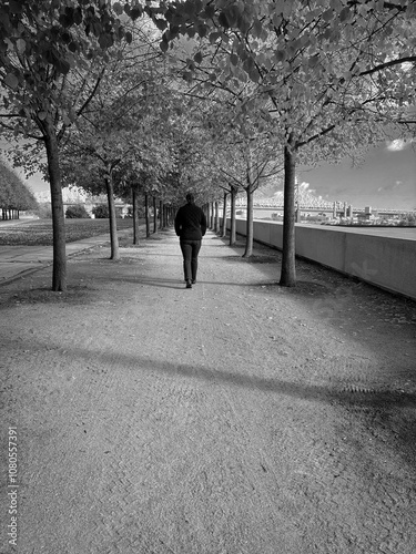Roosevelt Island Park