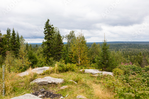 Russia Perm region taiga on a cloudy summer day photo