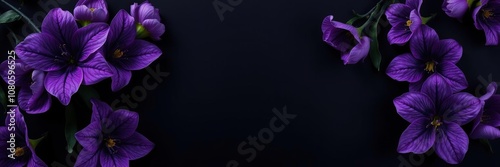 Majestic purple blooms with intricate details on a dark and sleek background, nature, botanical photo