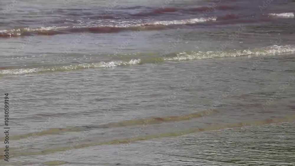 Water and waves with red seaweed algae on Beach Thailand. Water and waves with red seaweed algae on Beach Thailand.