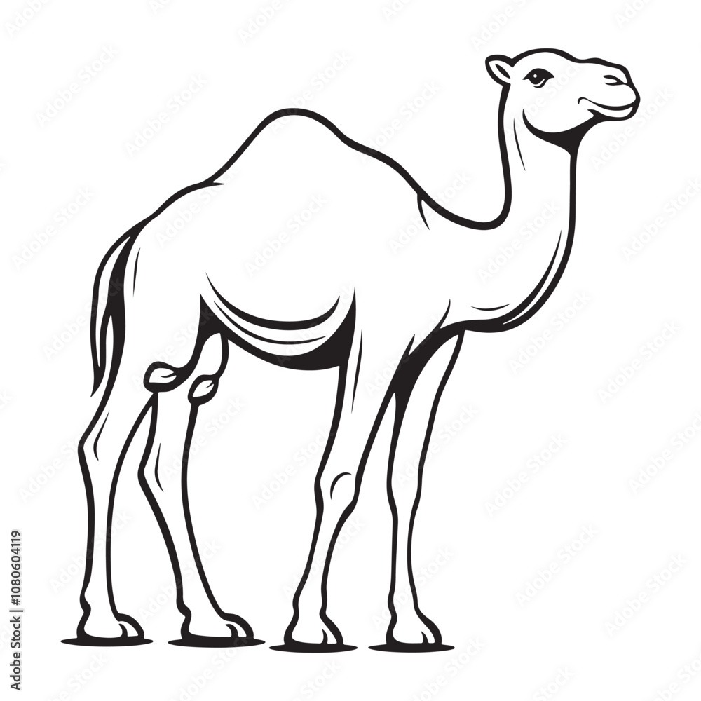 Fototapeta premium Camel line art vector on a white background