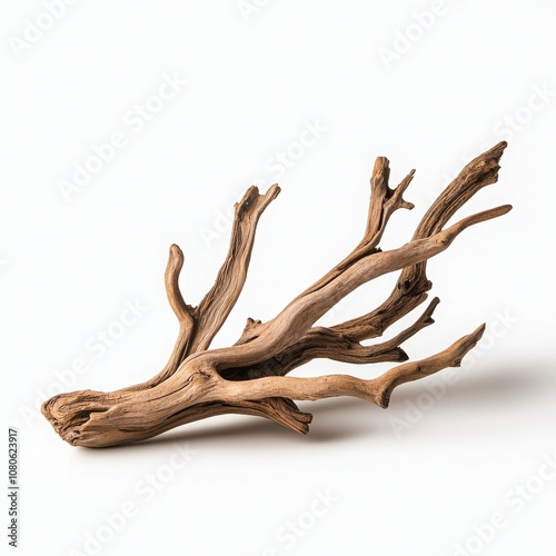 Driftwood branch with intricate shapes, isolated on a white background.