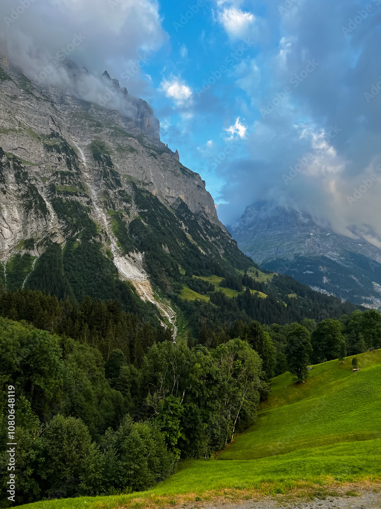Fototapeta premium The Bernese Alps, Switzerland