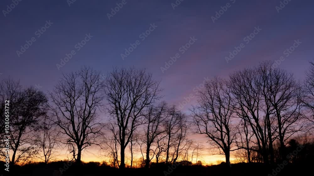 Time lapse of colorful sunrise clouds beyond tall oak trees in Autumn Time lapse of colorful sunrise clouds beyond tall oak trees in Autumn