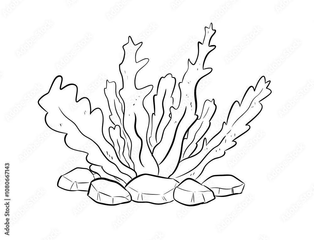 Fototapeta premium seaweed digital drawing illustration isolated