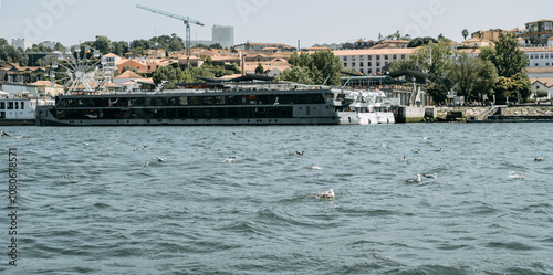 Photography City Wasser Porto Architektur Portugal