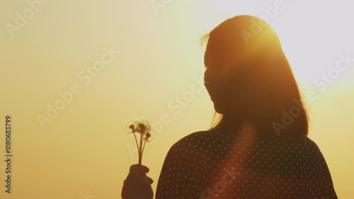 Dandelion Flower In Nature In Hands. Young Beautiful Woman Blowing On A Ripe Dandelion Whose Seeds Are Flying Around. Gimbal shot. photo