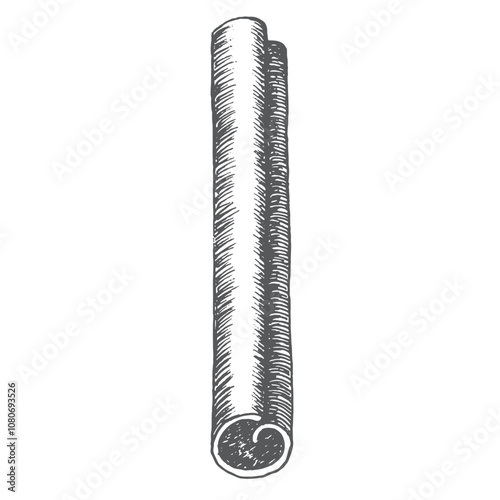 Cinnamon isolated image. Graphics illustration. Use on wrapping paper, New Year's textiles, stickers, cookbook and recepies, also in decoration cafe. It is an ingredient for mulled wine and bakes.
