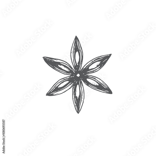 Anis with seeds. Graphics vector illustration. Use on wrapping paper, New Year's textiles, stickers, cookbook and recepies, also in decoration cafe. It is an ingredient for mulled wine and bakes.
