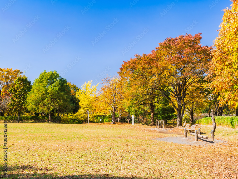 郊外の住宅地 紅葉の公園