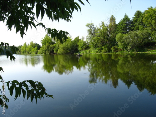 reflection of trees in water