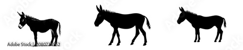 Black and white donkey silhouette illustration set collection
