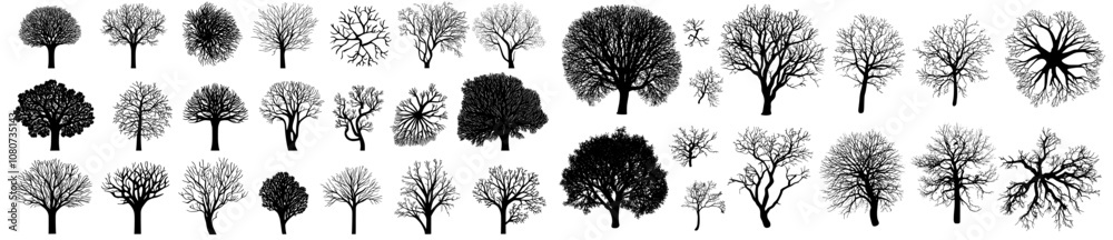 Silhouettes from trees, foliage patterns, and perfect tree top view for architectural plans, landscape designs, and urban planning