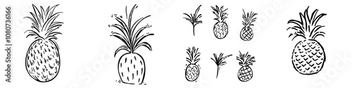 A simple drawing illustrating a continuous line of an item pineapple. Icon. Modern drawing. One-line. photo