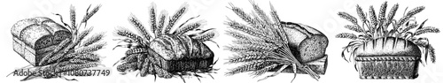 In a vintage style sketch engraving generative raster illustration, a rustic loaf of bread sits next to wheat stalks, traditional baking, and wholesome food. This image is black and white.
