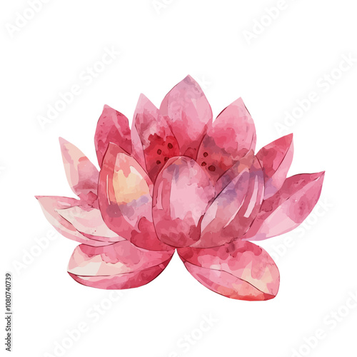 A watercolor of Lotus Mandala, isolated on a white background. Lotus Mandala vector.