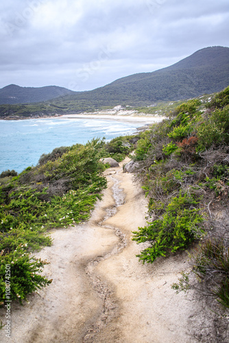 Winding Path to the Coastal Shoreline of Squeaky Beach of Wilsons Prom, Australia photo