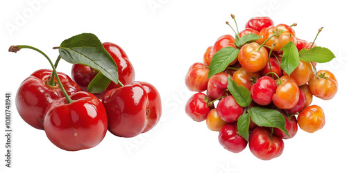PNG set of acerola cherry isolate on transparent and white background