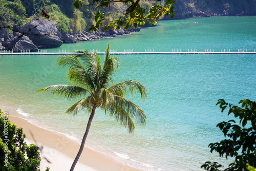 Serene private beach in Krabi, Thailand with a coconut tree in the foreground
