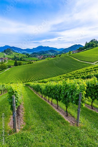 The Sulztal Weinstrasse in Styria, Austria in summer offers views of grape hills and mountains.