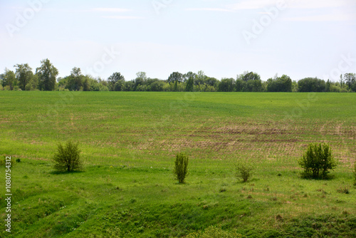 Fototapeta Naklejka Na Ścianę i Meble -  a valley with a green field with a few trees in the background