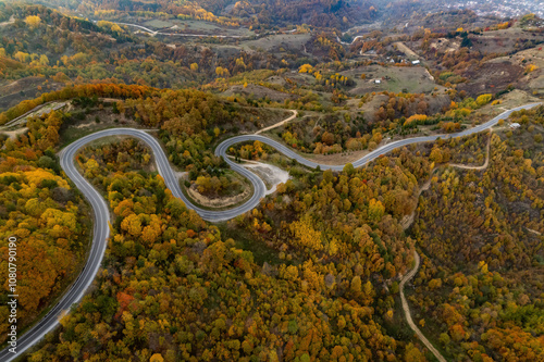 autumn landscape. drone shot on a curvy forest road.