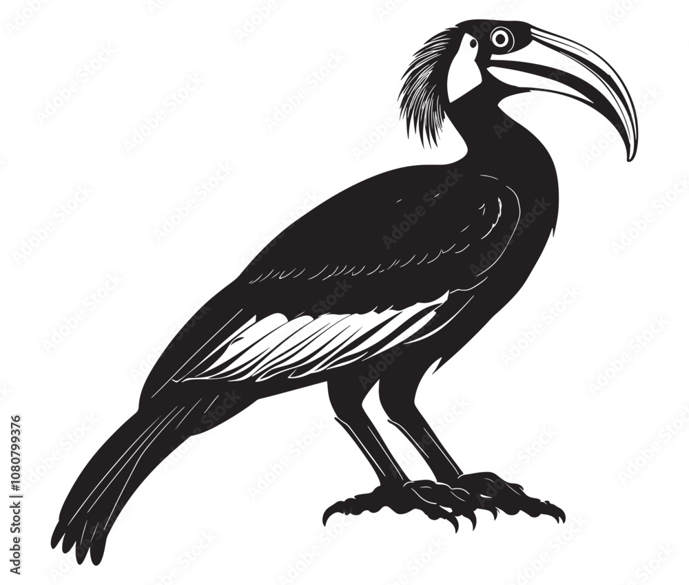 Obraz premium Hornbill bird isolated on white background, Silhouette of a hornbill animal bird vector