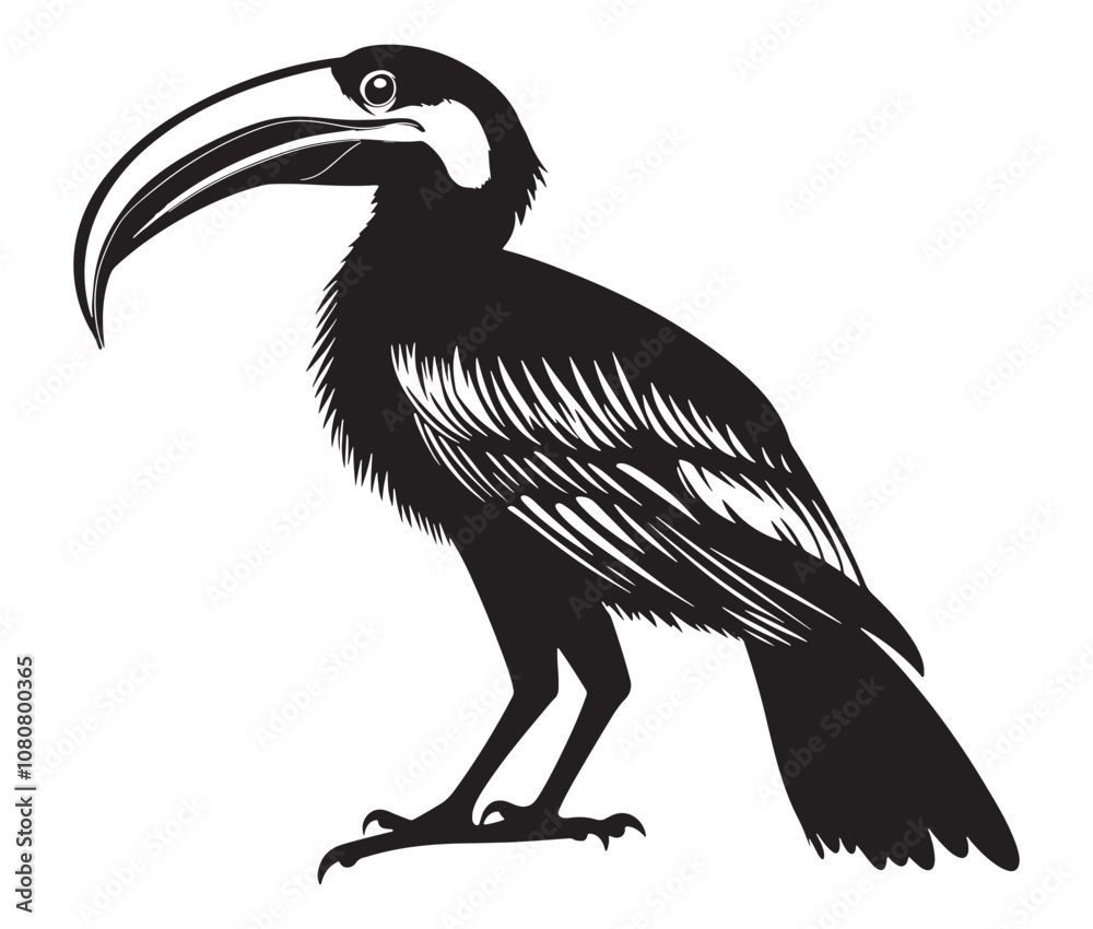 Obraz premium Hornbill bird isolated on white background, Silhouette of a hornbill animal bird vector