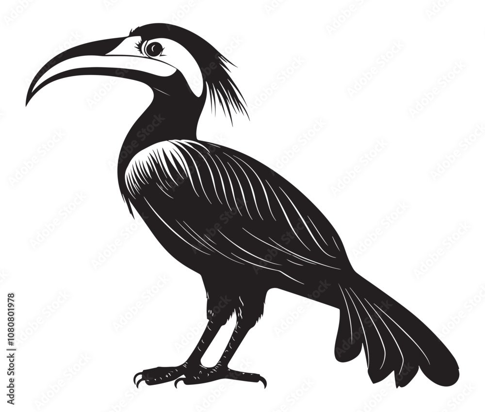 Obraz premium Hornbill bird isolated on white background, Silhouette of a hornbill animal bird vector