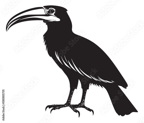 Hornbill bird isolated on white background, Silhouette of a hornbill animal bird vector