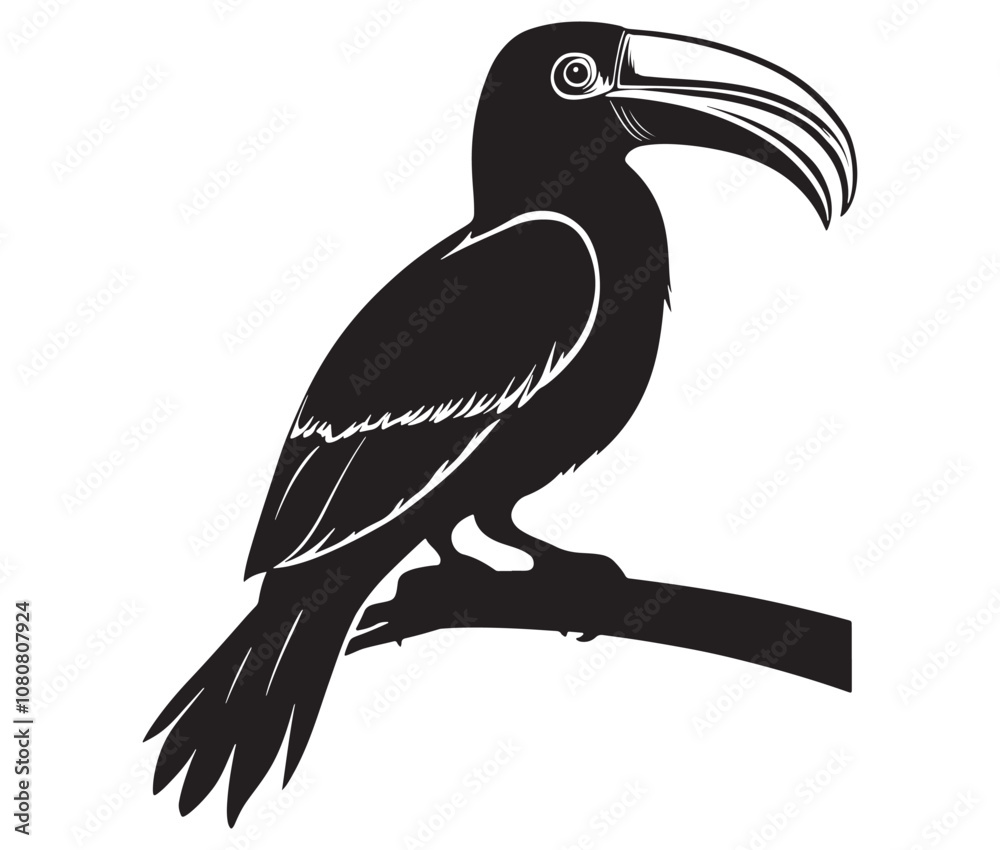 Fototapeta premium Hornbill bird isolated on white background, Silhouette of a hornbill animal bird vector