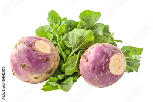 rutabaga isolated on white background 