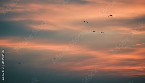 Sky Silhouette of Flying Birds Capturing the Essence of Tranquility