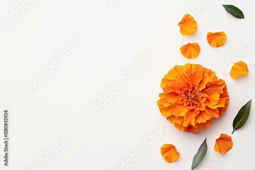 Marigold flower isolated on a white background. Decorative element for design Day of the Dead and Indian holidays. Flat lay