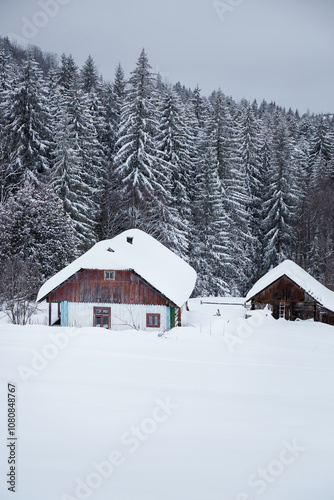 A tranquil winter landscape featuring a snow-covered farmhouse amidst dense evergreen trees in a serene rural setting. Carpathian Mountains, Ukraine